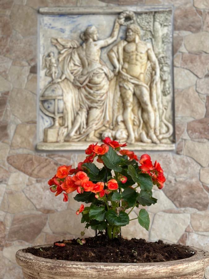 Agios Ioannis  The Odyssey Holiday Home - Agios Ioannis, Pelion מראה חיצוני תמונה